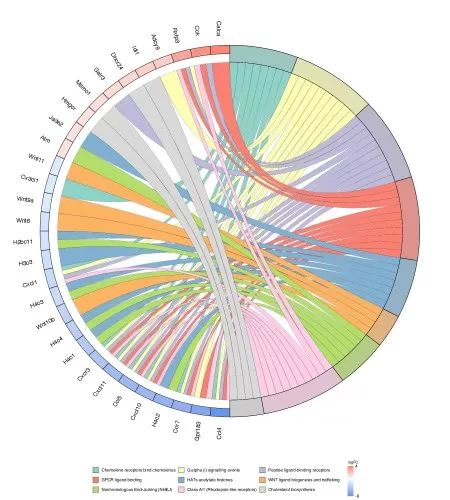 Reactome enrichment chord plot showing the correspondence between nine significantly enriched pathway entries and ninety genes with the largest fold changes